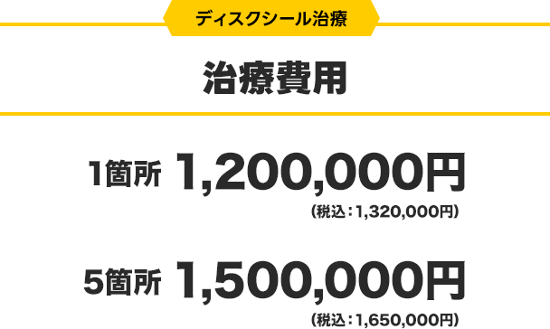 治療費用:1箇所1,200,000円~5箇所1,500,000円